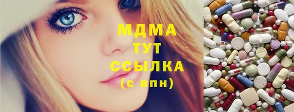 индика Заволжье