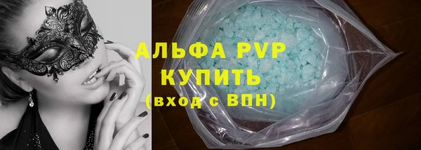 индика Заволжье