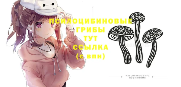 индика Заволжье