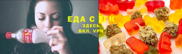 индика Заволжье