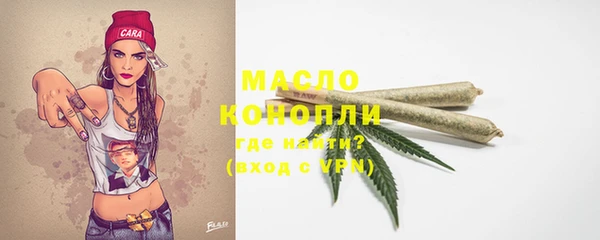 индика Заволжье