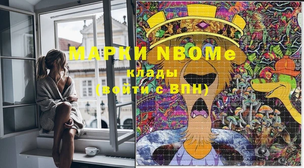 индика Заволжье