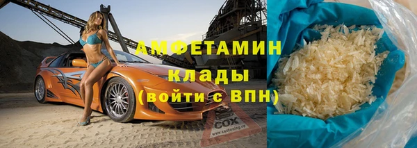 индика Заволжье