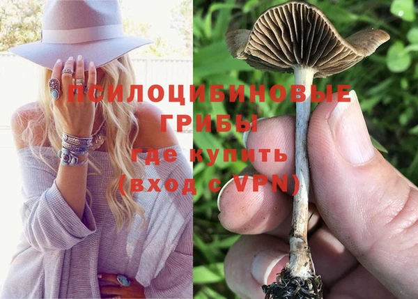 гидропоника Заводоуковск