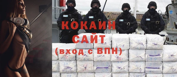 индика Заволжье