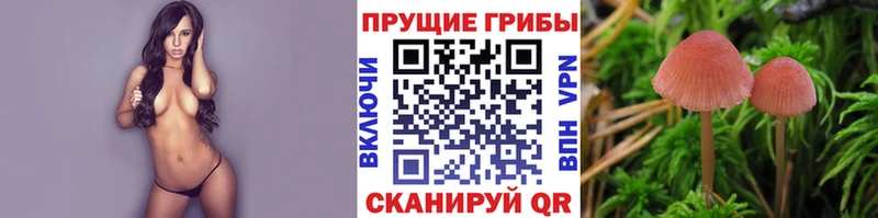 Купить закладки  Горячий Ключ  Псилоцибиновые грибы Magic Shrooms 